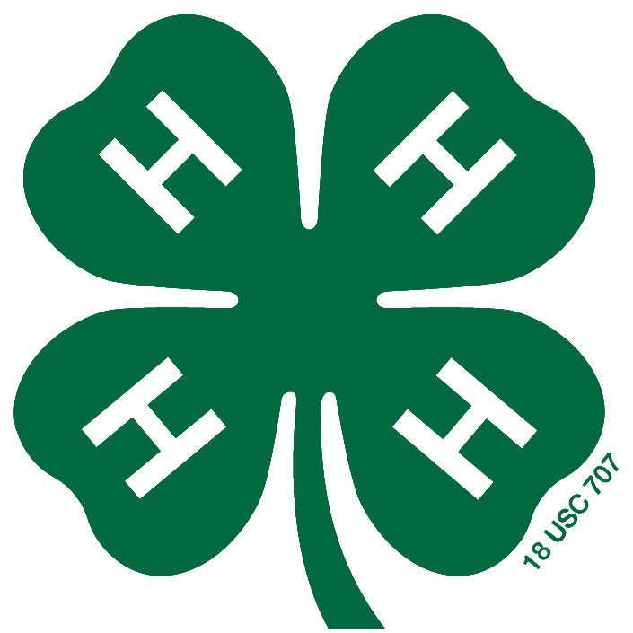 4-H Clover