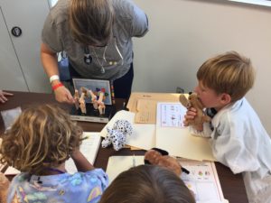 Veterinarian for a Day Camp
