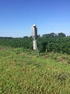 Image of black light in field