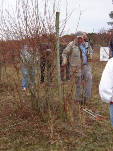 Dr. Bill Cline holding lopers as he teaches blueberry pruning in the field