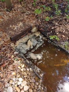 drain clogged with leaves and storm water
