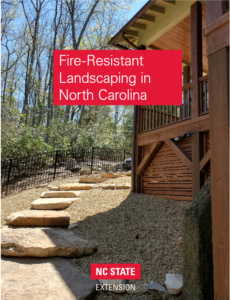 Example of fire-resistant landscaping