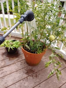 Image of watering vegetable garden in pots with hose want
