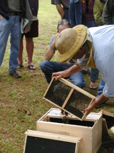 Cover photo for Installing a New Package of Bees? Here's a New Tip to Improve Acceptance
