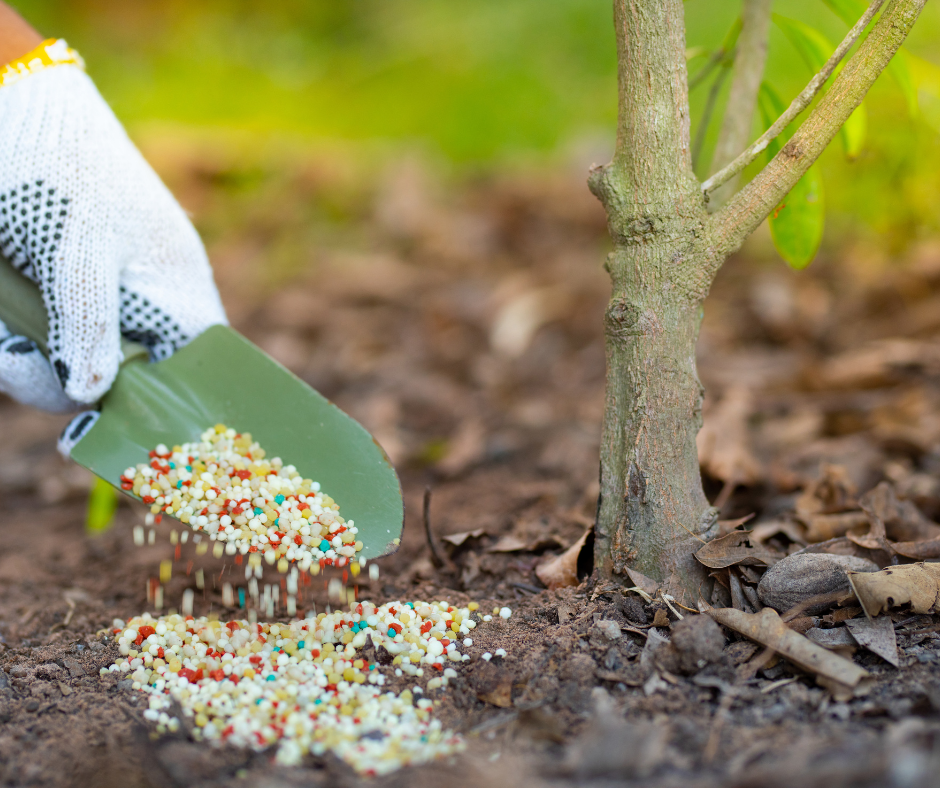 Fertilize to Encourage Healthy Growth N.C. Cooperative Extension