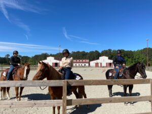 Riders and Horses