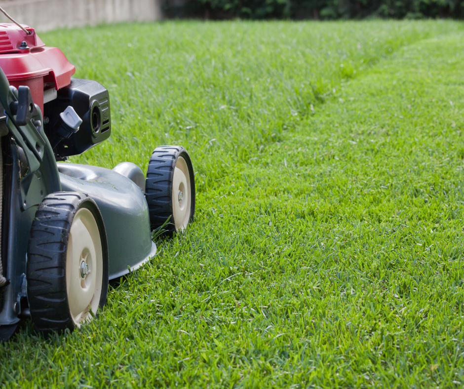 Summer Lawn Mowing Tips | N.C. Cooperative Extension