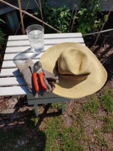 Hydration in the garden