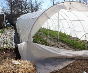 Row Cover