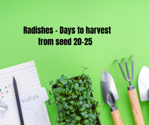 Radishes days to harvest