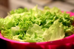 Cover photo for Grow Your Own Salad Bowl Webinar