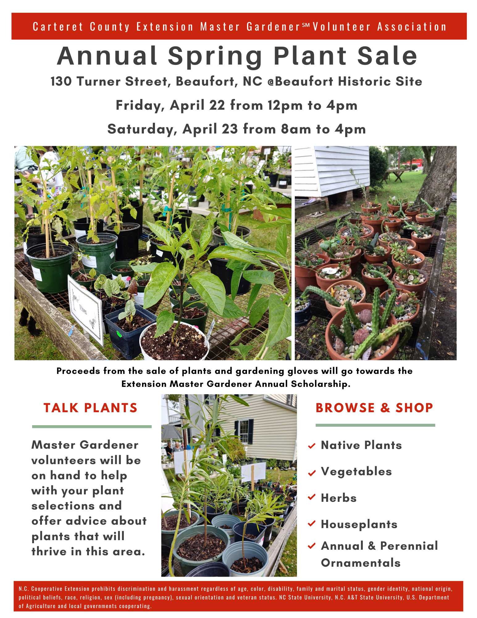 Annual Plant Sale Flyer
