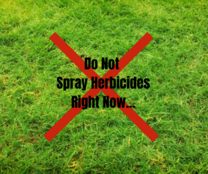 Grass with words Do Not Spray Herbicides Right Now