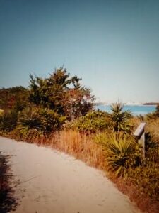 Trail at Fort Macon State Park