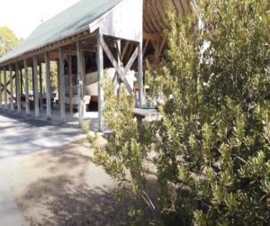 Harkers Island Trail Starting Point