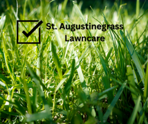 St Augustinegrass