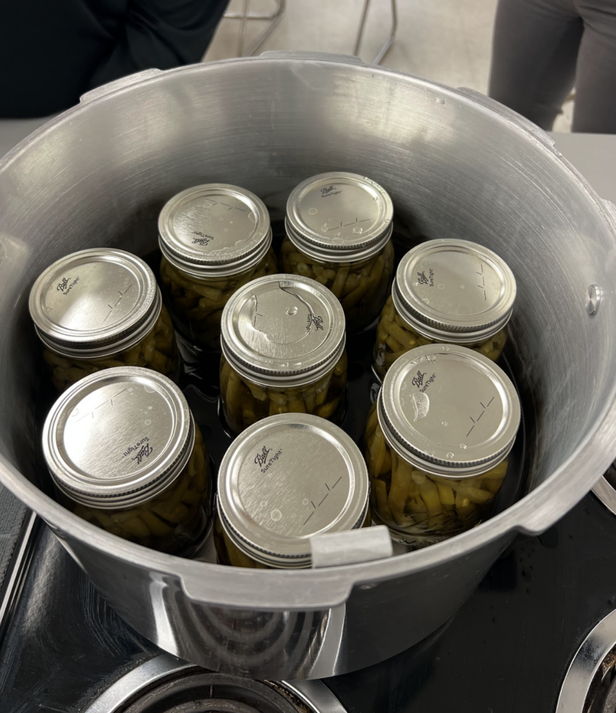 Pressure Canned Green Beans