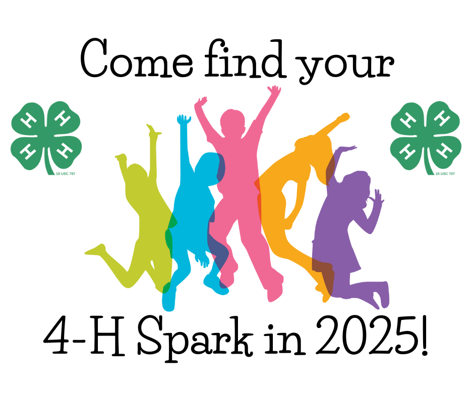 Come Find Your 4-H Spark in 2025