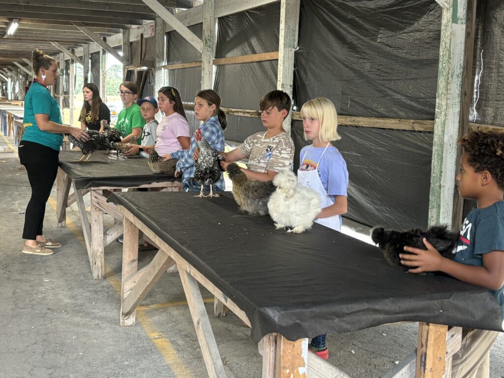 Ross (judge) discusses poultry health with youth during showmanship clinic.