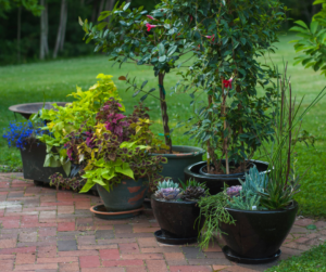 potted plants on patio