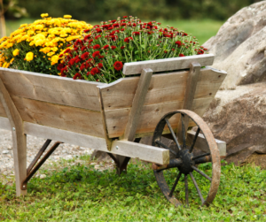 Fall Flowers in Decorative Wheelbarrow