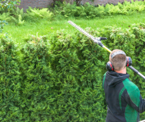 Shaping Hedges