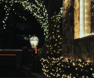 Hedge decorated with lights