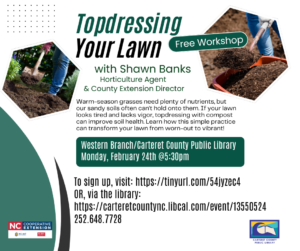 Topdressing Your Lawn 