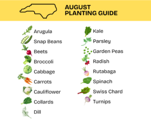 August Planting Guide